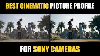 Best Picture Profile Settings for Cinematic Video on Sony Cameras  a7iii a6400 a6600 [upl. by Novyart]