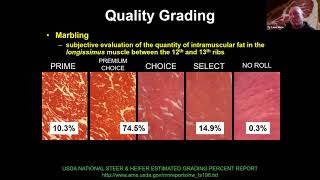 Beef Carcass Quality amp Grading with Ty Lawrence [upl. by Wendy]