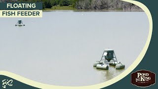 Everything To Know About Feeding Fish In Your Pond  Pond amp Lake Management Tutorial [upl. by Lhok]