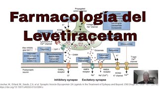 Farmacología del levetiracetam Antiepilépticos [upl. by Suoilenroc694]