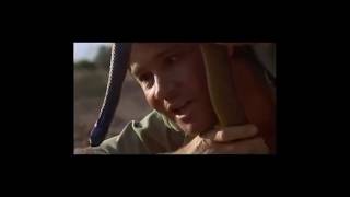 Steve Irwin The Crocodile Hunters Greatest Moments [upl. by Bambie]