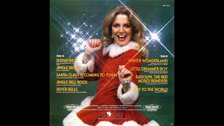 The Mistletoe Disco Band  Christmas Disco 1978 Non Stop Mix [upl. by Winikka]