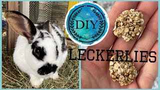 Diy Kaninchen Leckerlies selber machen  Gesunder Kaninchenschmaus  Folge 1  Lenatur [upl. by Aiclid]