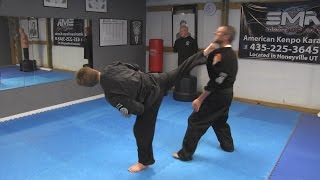 Kenpo Karate Techniques AKKI [upl. by Je862]