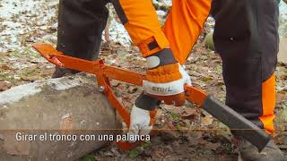 Cortar troncos con Motosierra en el suelo  Motosierras STIHL [upl. by Anelak]