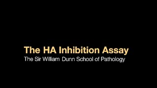 The HA inhibition assay [upl. by Clare]