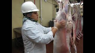 Postmortem Inspection of Goat Carcass [upl. by Billen708]