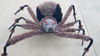 Crazy Giant Spider Prank [upl. by Akinor935]