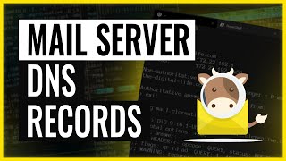 Mail server DNS records  setup and configuration explained [upl. by Annabella]