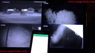 Harbor Freight Cobra 8 Camera Surveillance System  New App Client How to Use on Security System [upl. by Egor]