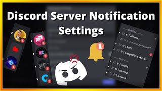 Discord Server Notification Settings [upl. by Aneelas]