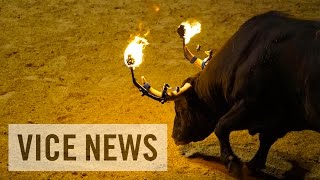 Toros en las calles de España Animalistas vs taurinos [upl. by Bouldon764]