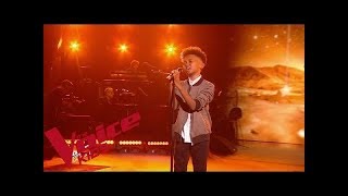 Daniel Balavoine  SOS dun terrien en détresse  Soan  The Voice Kids France 2019  Finale [upl. by Tham]