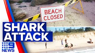 Fourmetre great white spotted after man killed in shark attack  9 News Australia [upl. by Lenny801]