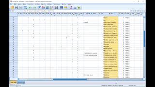 Qualitative Data Analysis [upl. by Sylram]