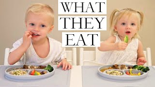 What Our VEGANPLANTBASED Children Eat PART 12 [upl. by Pratt]