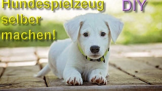 DIY Hundespielzeug selber machen  bauen – Spielzeuge für den Hund basteln  Anleitung [upl. by Ohaus997]