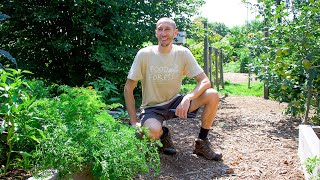 Permaculture Garden Tour  100 Organic BACKYARD Gardening at its Finest [upl. by Nner539]