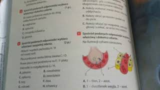 PULS ŻYCIA 7 KLASA  SPRAWDZIAN UKŁAD ODDECHOW [upl. by Animas]