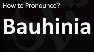 How to Pronounce Bauhinia CORRECTLY [upl. by Ahcsropal]