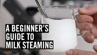 Everything You Need To Know To Steam Great Milk [upl. by Opaline]