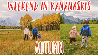 Pomeroy Kananaskis Mountain Lodge  Kananaskis Vlog [upl. by Cherlyn]