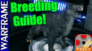 Warframe Kubrow Breeding Guide 1080HD [upl. by Daub]