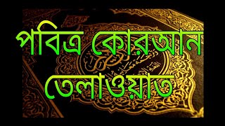 হৃদয় জুড়ানো তেলাওয়াত বাংলা অনুবাদ সহ কোরআন তেলাওয়াত [upl. by Atteiram]