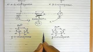 5 Sugar isomers Part4 Mutarotation [upl. by Yretsym]