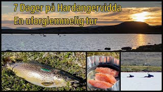 Hardangervidda  Fisketur  Sant [upl. by Saeger]