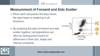 Flow Cytometry Guide [upl. by Mosenthal]