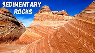 Three types of Sedimentary Rocks [upl. by Elrem]