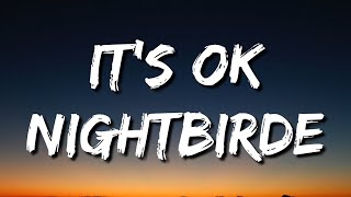 Nightbirde – It’s Okay Lyrics [upl. by Gundry]