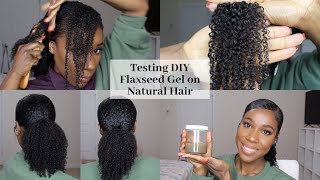 TESTING DIY FLAXSEED GEL  Natural Hair  TheLifestyleLuxe [upl. by Adelaja]