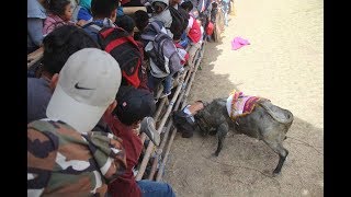 Toros Populares Sangolqui 2018  Sustos Cogidas y Saltos [upl. by Pegma]