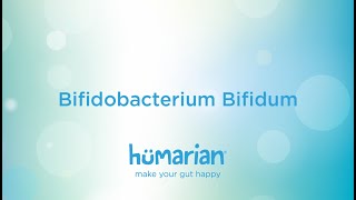 Bifidobacterium Bifidum [upl. by Ib]