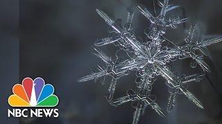 Snowflake Anatomy Breathtaking Microscope Photos  NBC News [upl. by Russom]