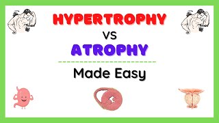 Hypertrophy and Atrophy Atrophy vs Hypertrophy Cellular Adaptation Pathology Made Easy [upl. by Sharon]