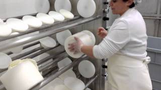 Olmeda Origenes  How is it made the manchego cheese [upl. by Aneleasor]