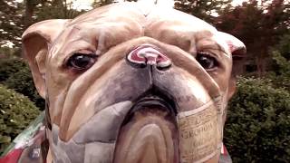 The Bulldog Song Official Version [upl. by Aloiv]