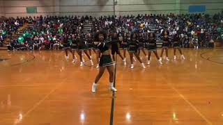 Southeast Raleigh Cheer Homecoming 2019 [upl. by Anola]