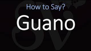 How to Pronounce Guano CORRECTLY [upl. by Hebrew]