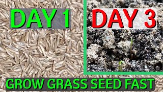 How to GROW grass seed FAST  CHEAT Nature and grow grass in 2 days [upl. by Hgielrebmik]