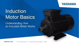 Motor Basics [upl. by Beutler]