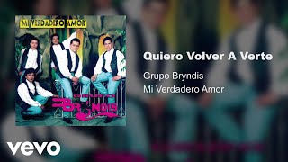 Grupo Bryndis  Quiero Volver A Verte Audio [upl. by Parks317]