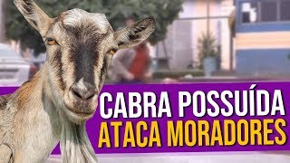 Narrando o Vídeo Cabra Possuída Ataca Moradores [upl. by Einnaffit]