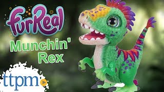 FurReal Munchin Rex from Hasbro [upl. by Chrissa557]