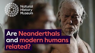 Are Neanderthals and modern humans related [upl. by Bogosian]