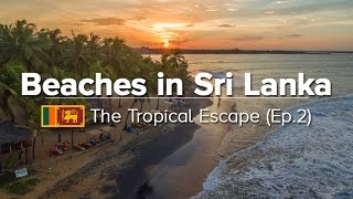 10 Best Beaches in Sri Lanka  EastSouthWest Coast Tropical Escape 2 [upl. by Pancho]