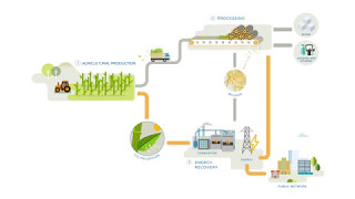 Sugar cane  A source of renewable energy [upl. by O'Shee429]